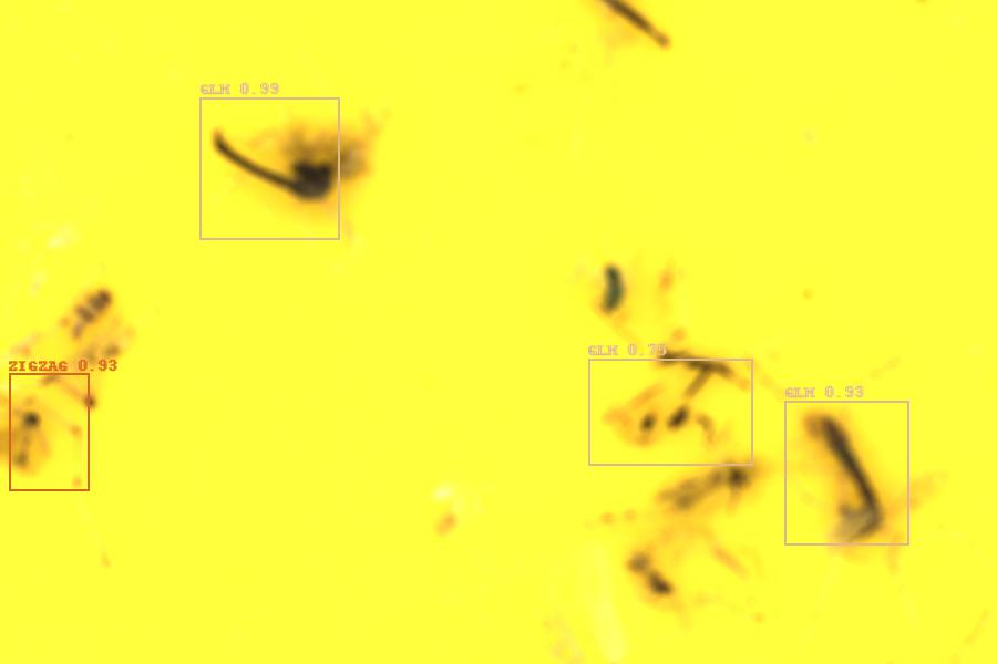 Image 28